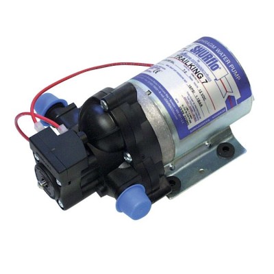 Pompa Shurflo 10,6L vazuta de sus
