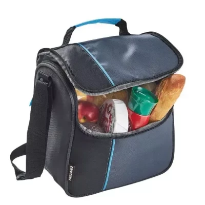 Geanta frigorifica DeLuxe pentru picnic si plaja 8 litri